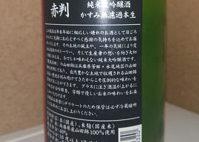 alt 3