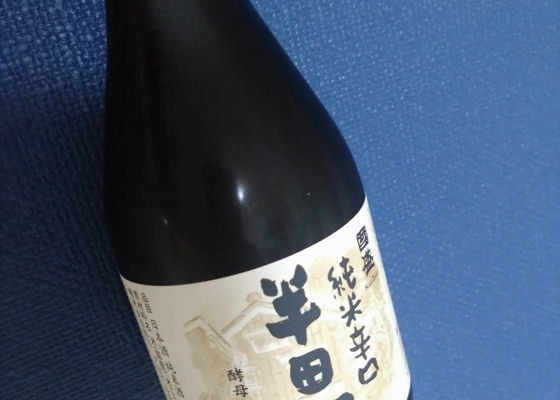 alt 1