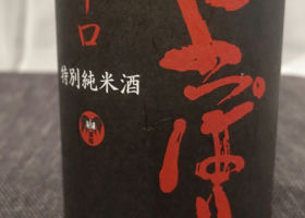 alt 1