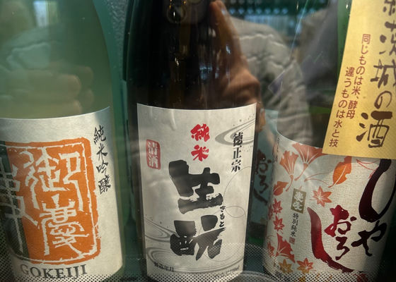 徳正宗 チェックイン 1