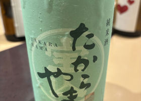 alt 1