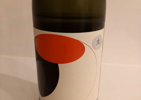 alt 1