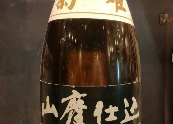 alt 1