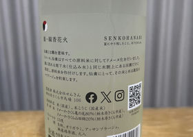 alt 3