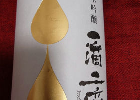 alt 1