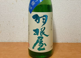 alt 1