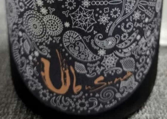 alt 1