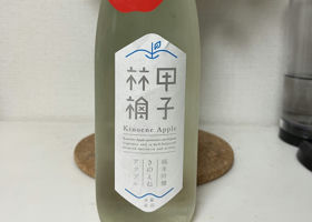 alt 1