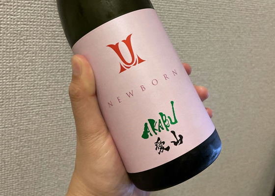 alt 1
