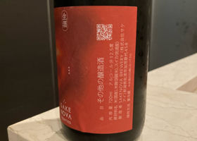 SAKENOVA BREWERY チェックイン 3