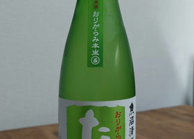 alt 1