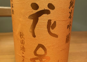 alt 1