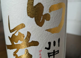 alt 1