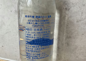 alt 3