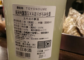 Toyonome Check-in 2