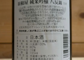 alt 3