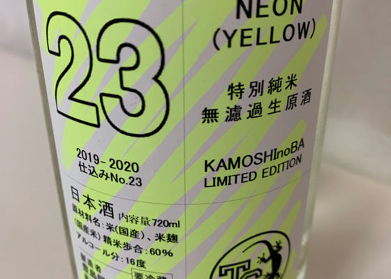 NEON チェックイン 1