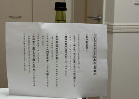alt 3