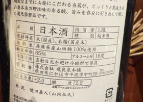alt 3
