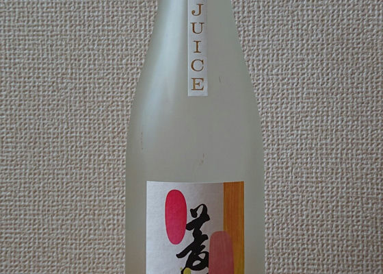 alt 1