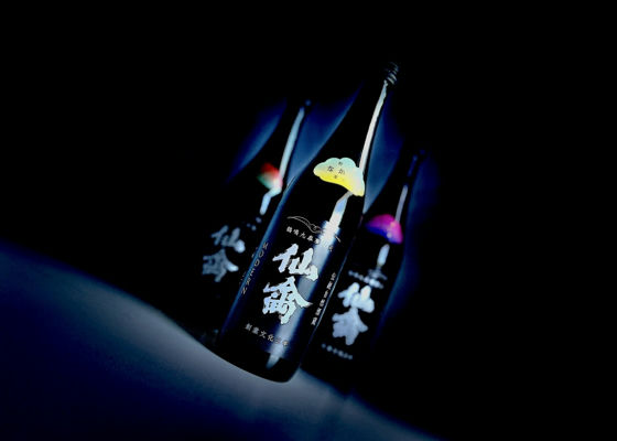 alt 1
