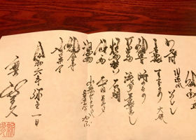 alt 4