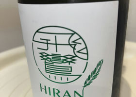 Hiran Check-in 2