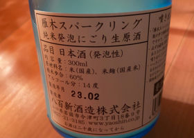 alt 3