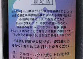 alt 2