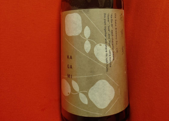 alt 1