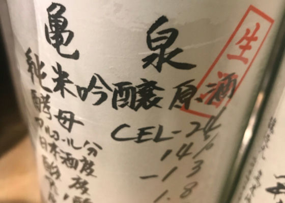 亀泉CEL Check-in 1