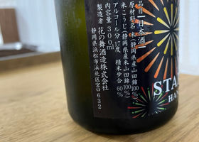 alt 3