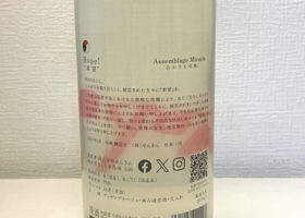 alt 3