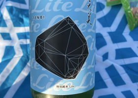 alt 1