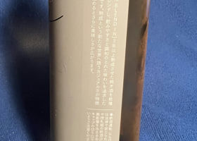 alt 3