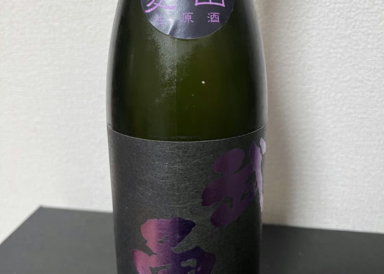 alt 1