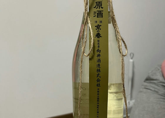alt 1