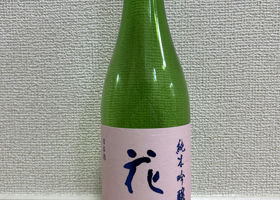 alt 1