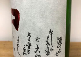 alt 3