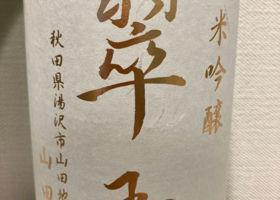 alt 1