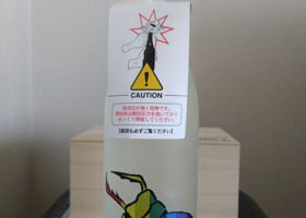 alt 1