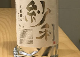 Sari 签到 1