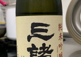 alt 1