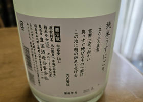 alt 1