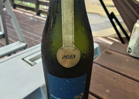 alt 1