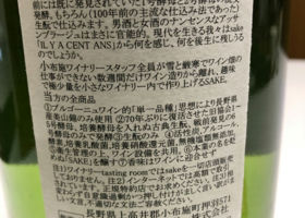 alt 3