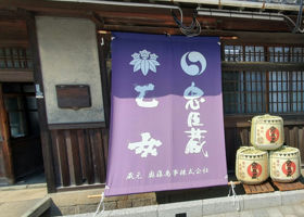 alt 1