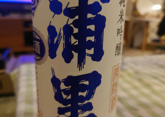 alt 1
