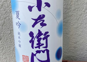 alt 1