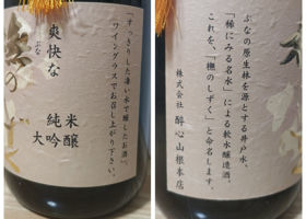 alt 3